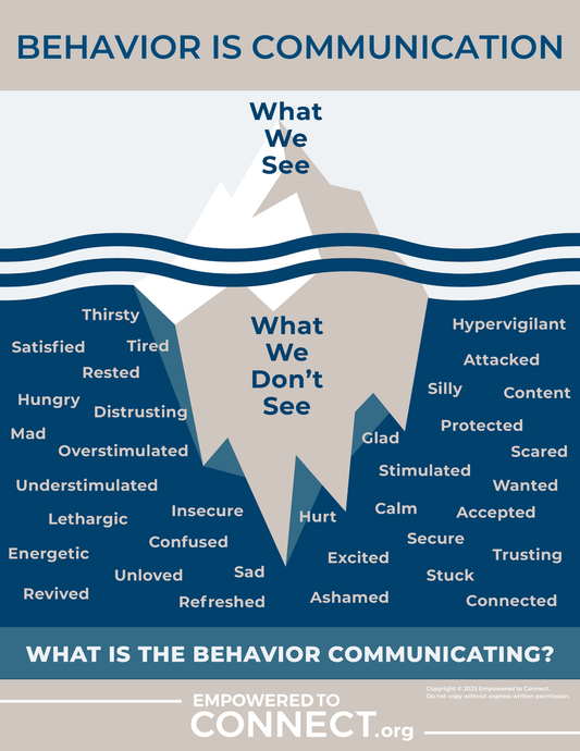 Behavior Iceberg | Digital Resource